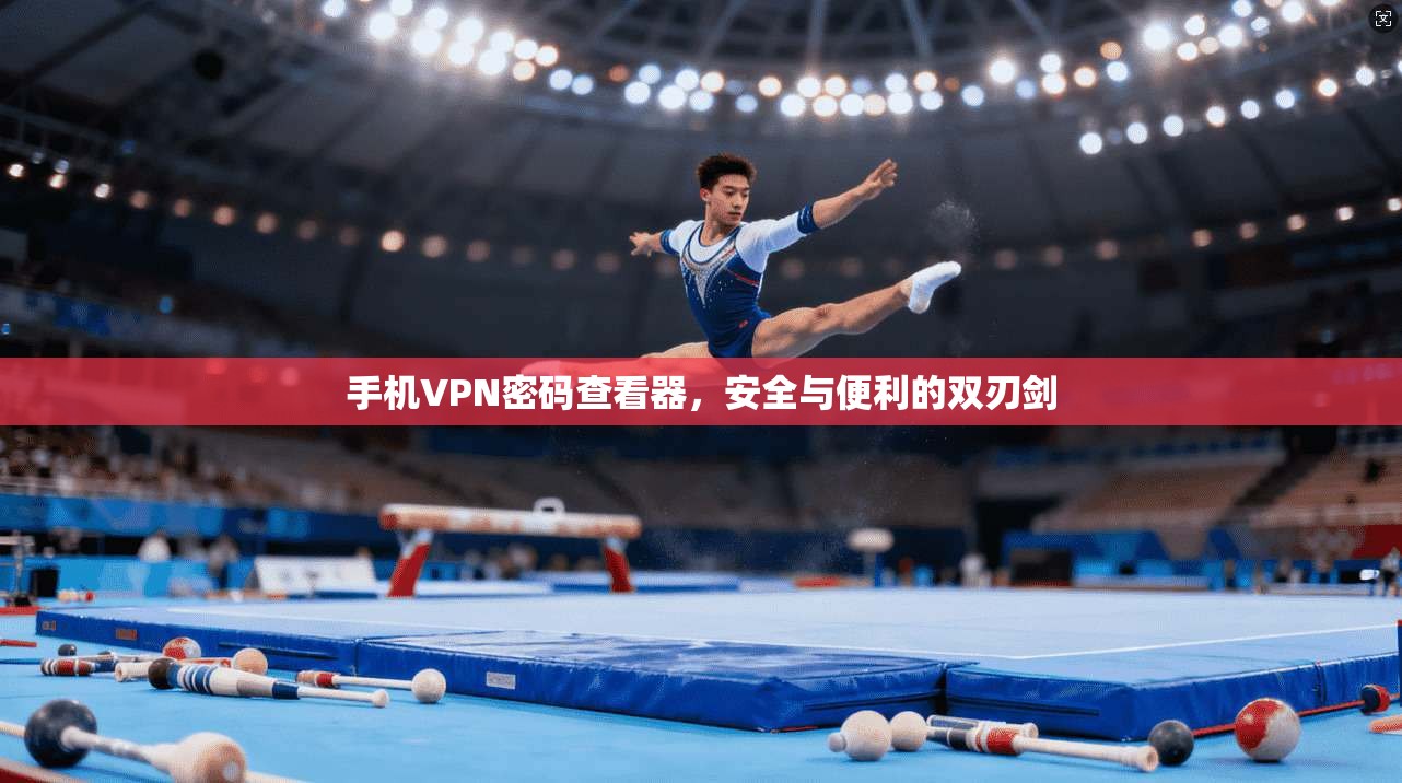 手机VPN密码查看器,安全与便利的双刃剑 手机VPN密码查看器,安全与便利的双刃剑