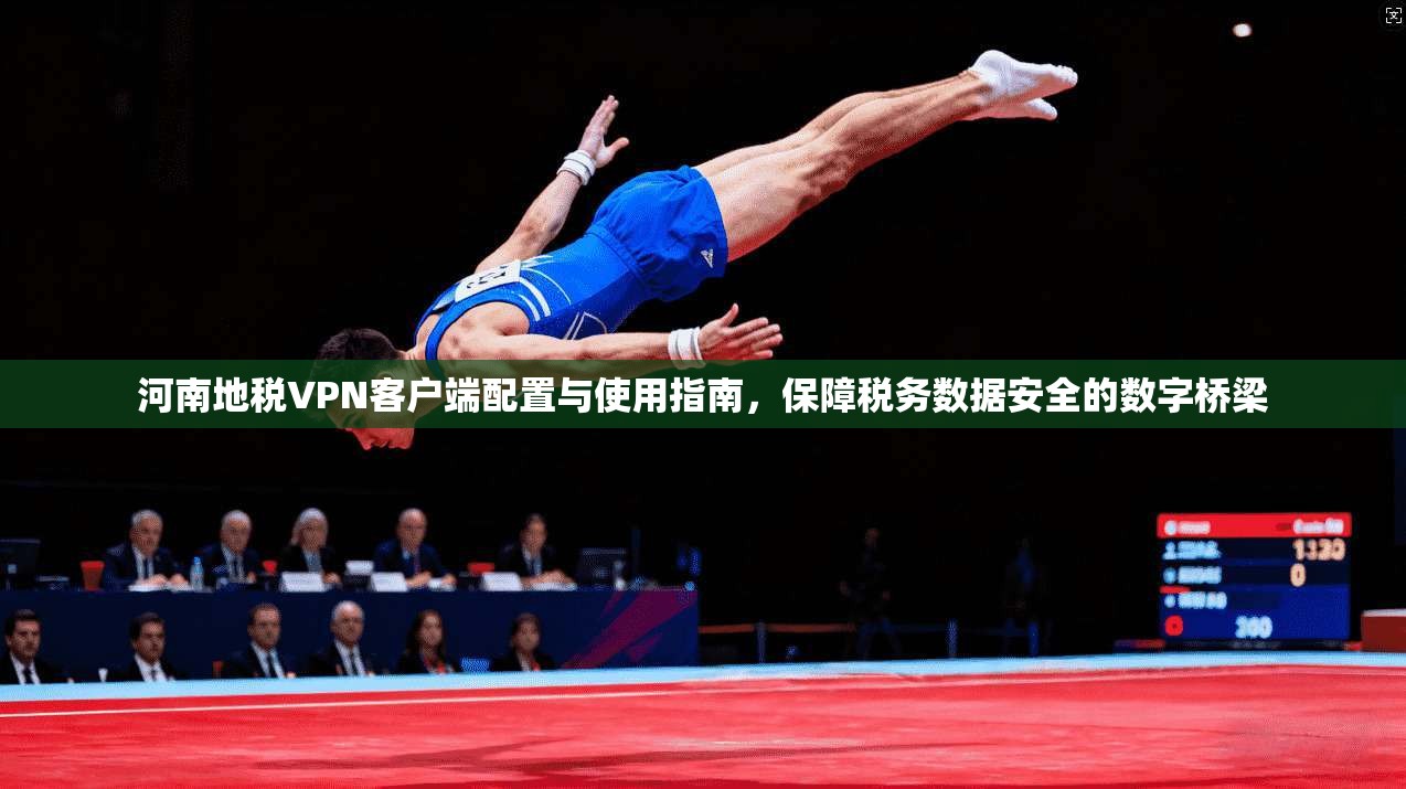 河南地税VPN客户端配置与使用指南，保障税务数据安全的数字桥梁