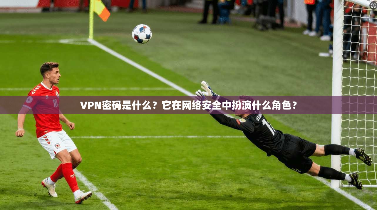 VPN密码是什么？它在网络安全中扮演什么角色？