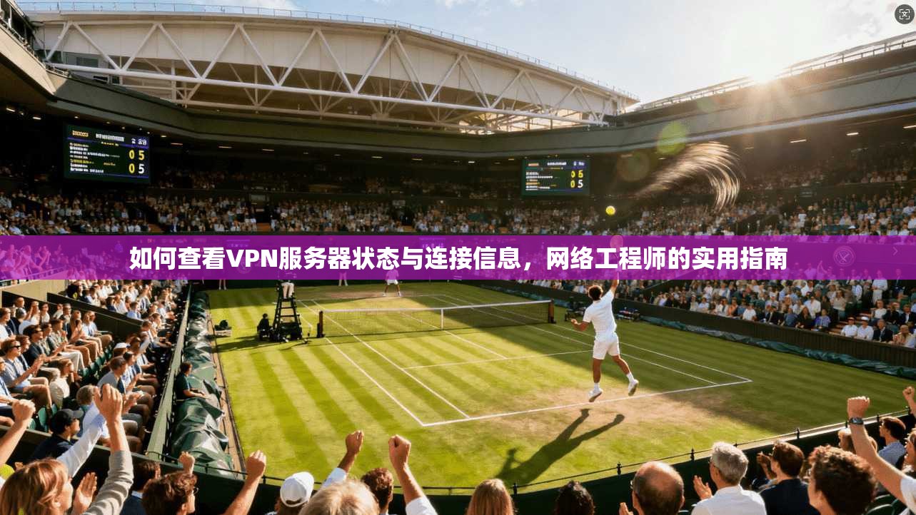 如何查看VPN服务器状态与连接信息,网络工程师的实用指南 如何查看VPN服务器状态与连接信息,网络工程师的实用指南