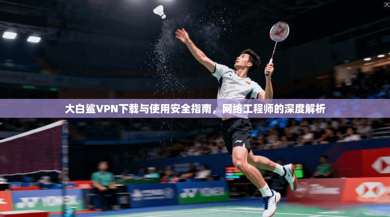 大白鲨VPN下载与使用安全指南,网络工程师的深度解析 大白鲨VPN下载与使用安全指南,网络工程师的深度解析