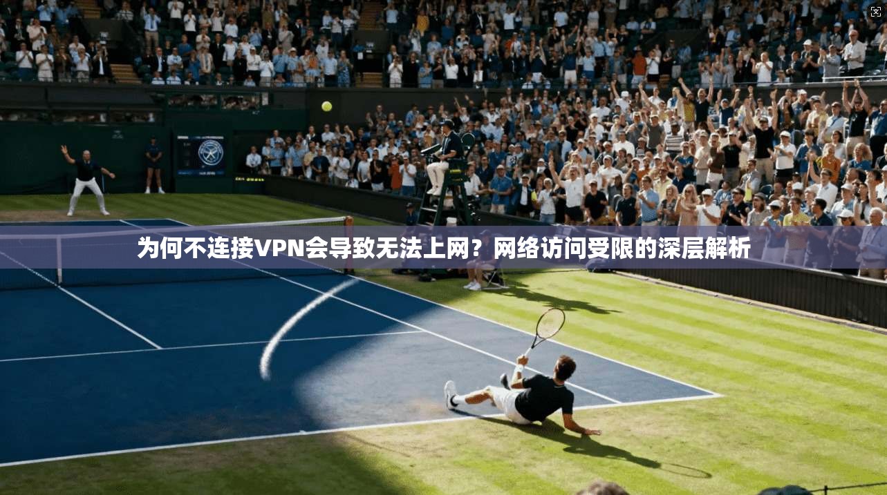 为何不连接VPN会导致无法上网?网络访问受限的深层解析 为何不连接VPN会导致无法上网?网络访问受限的深层解析