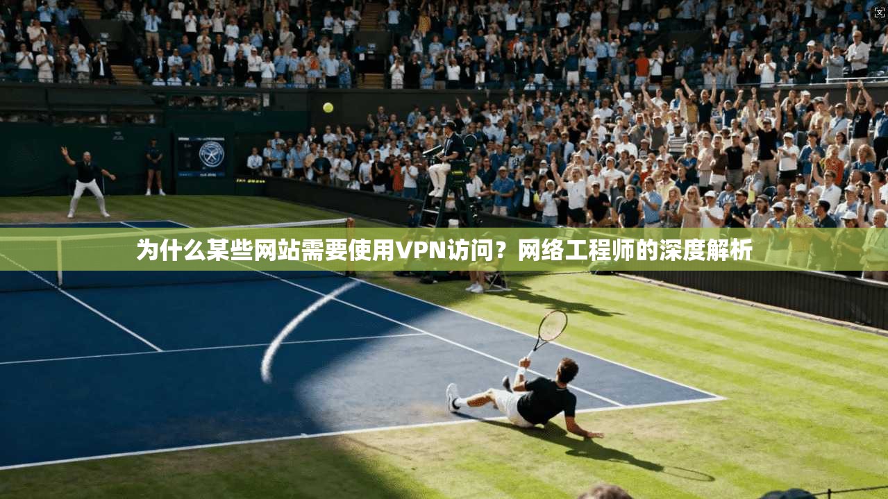 为什么某些网站需要使用VPN访问?网络工程师的深度解析 为什么某些网站需要使用VPN访问?网络工程师的深度解析