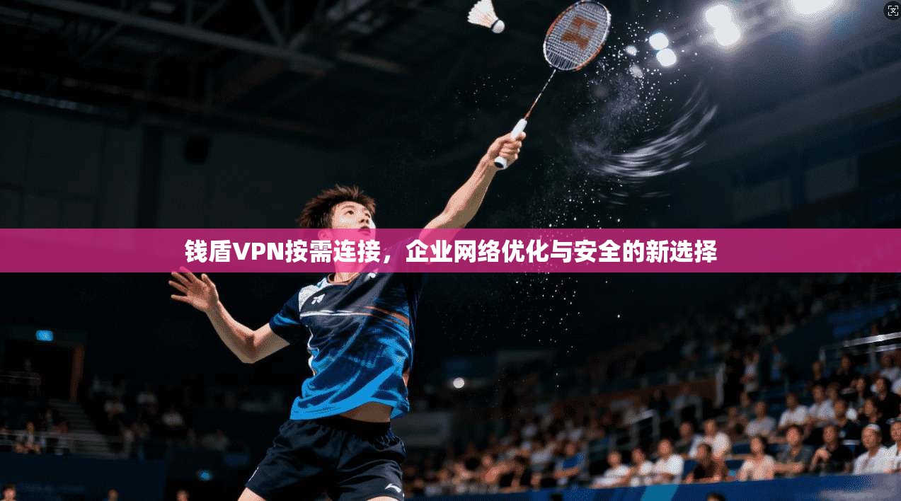 钱盾VPN按需连接，企业网络优化与安全的新选择