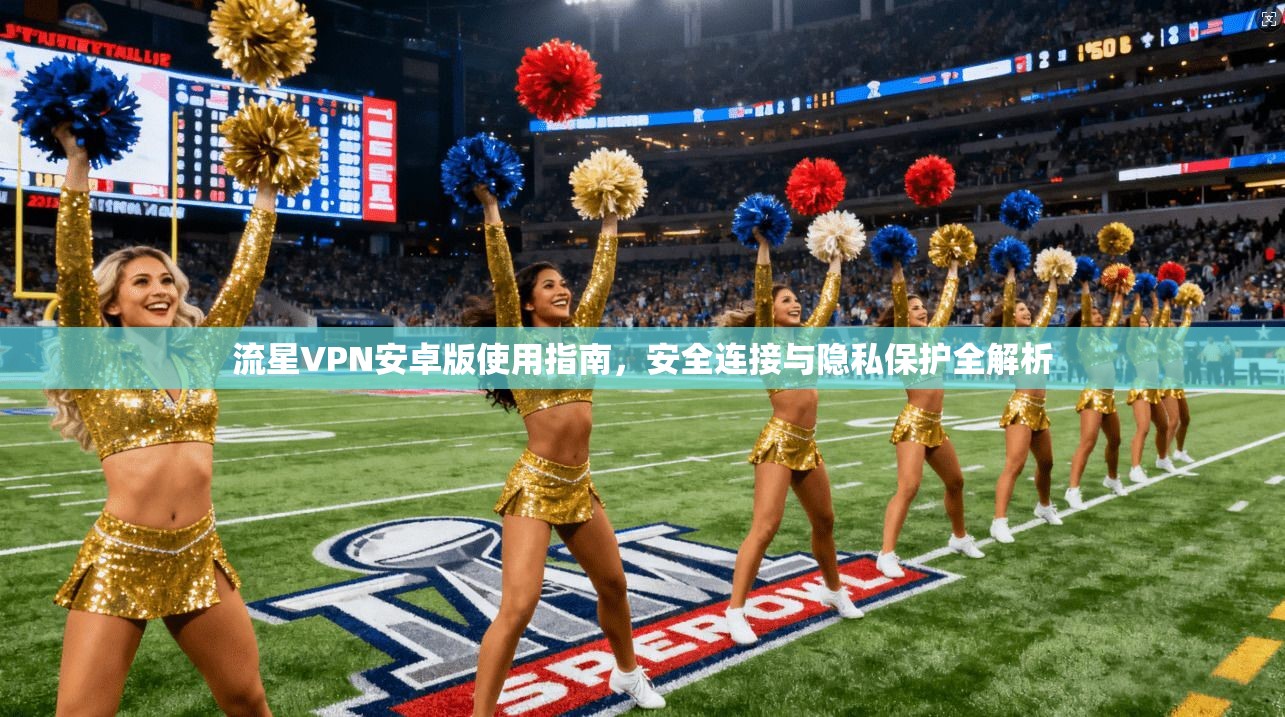 流星VPN安卓版使用指南,安全连接与隐私保护全解析 流星VPN安卓版使用指南,安全连接与隐私保护全解析