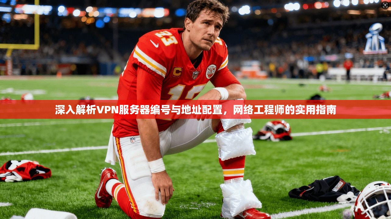 深入解析VPN服务器编号与地址配置,网络工程师的实用指南 深入解析VPN服务器编号与地址配置,网络工程师的实用指南