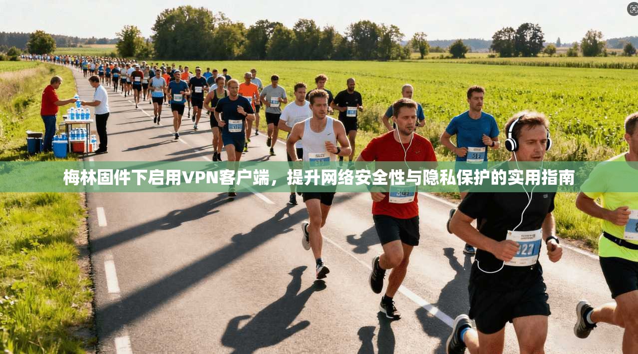 梅林固件下启用VPN客户端,提升网络安全性与隐私保护的实用指南 梅林固件下启用VPN客户端,提升网络安全性与隐私保护的实用指南
