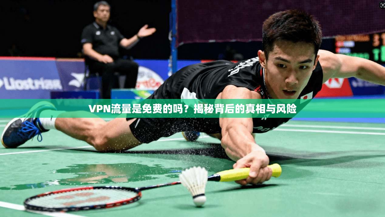 VPN流量是免费的吗?揭秘背后的真相与风险 VPN流量是免费的吗?揭秘背后的真相与风险