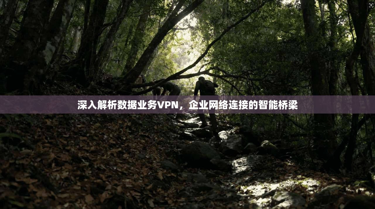 深入解析数据业务VPN,企业网络连接的智能桥梁 深入解析数据业务VPN,企业网络连接的智能桥梁