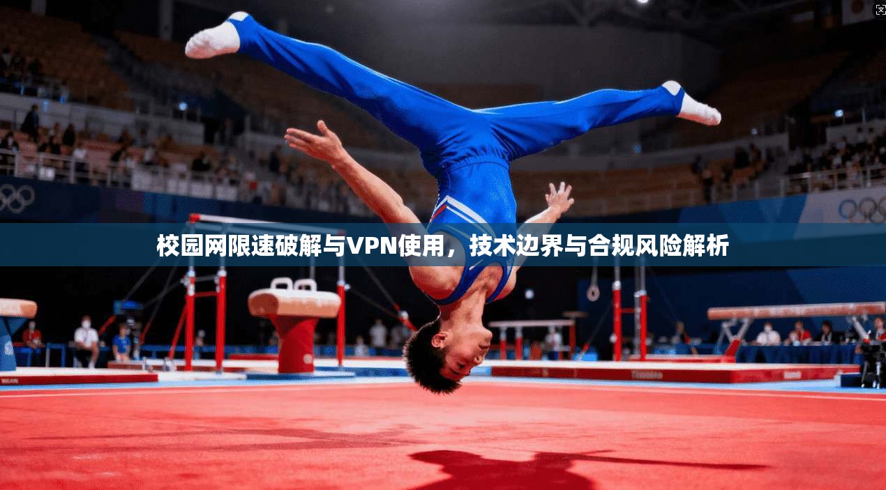 校园网限速破解与VPN使用,技术边界与合规风险解析 校园网限速破解与VPN使用,技术边界与合规风险解析