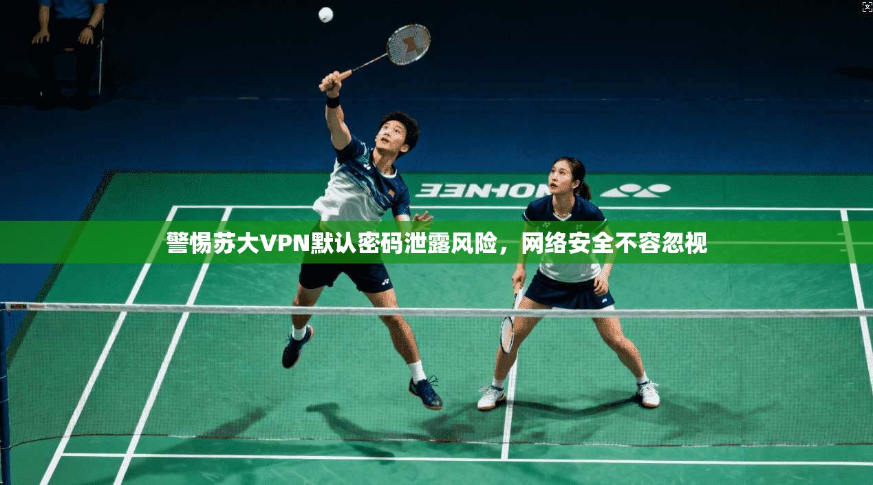 警惕苏大VPN默认密码泄露风险，网络安全不容忽视