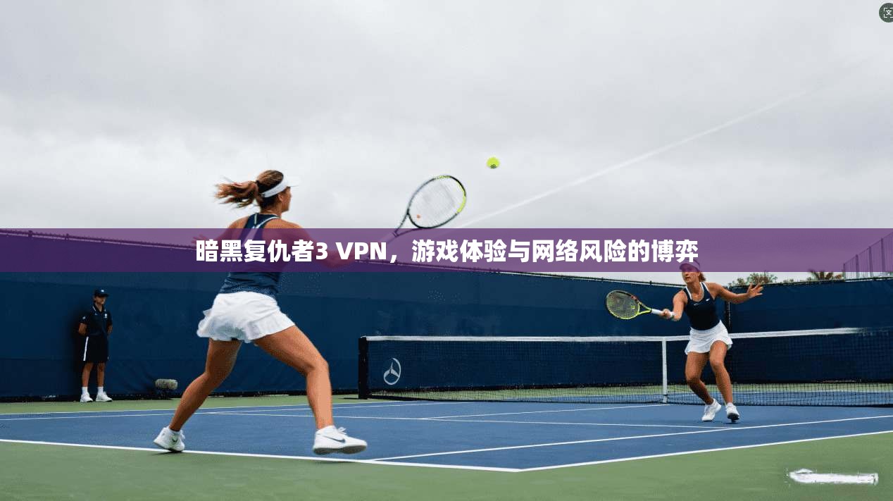 暗黑复仇者3 VPN,游戏体验与网络风险的博弈 暗黑复仇者3 VPN,游戏体验与网络风险的博弈
