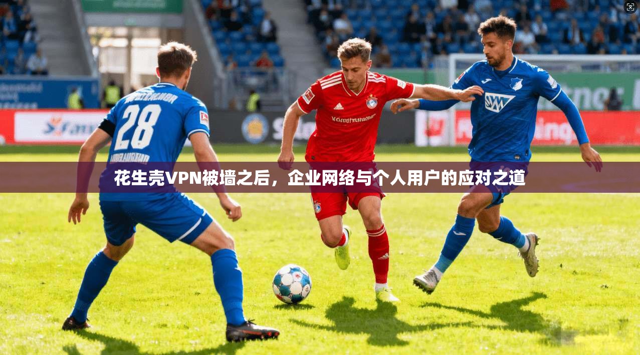 花生壳VPN被墙之后,企业网络与个人用户的应对之道 花生壳VPN被墙之后,企业网络与个人用户的应对之道