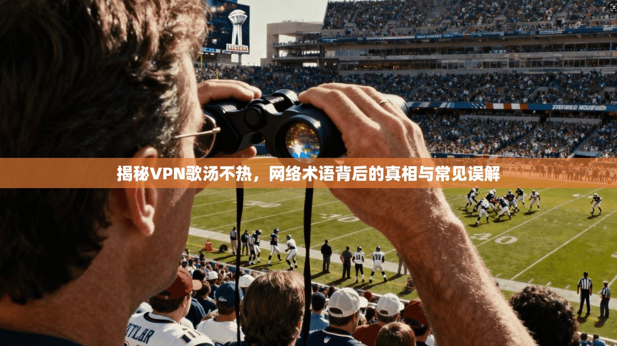 揭秘VPN歌汤不热,网络术语背后的真相与常见误解 揭秘VPN歌汤不热,网络术语背后的真相与常见误解
