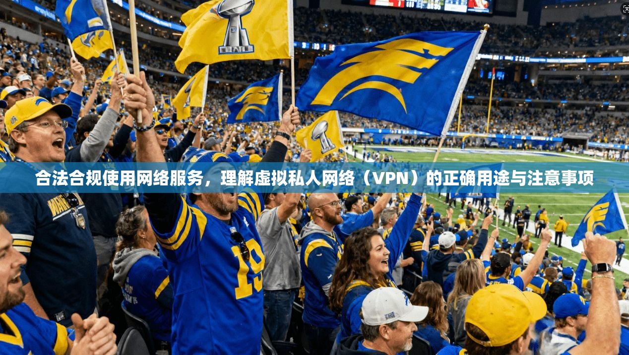 合法合规使用网络服务,理解虚拟私人网络(VPN)的正确用途与注意事项 合法合规使用网络服务,理解虚拟私人网络(VPN)的正确用途与注意事项
