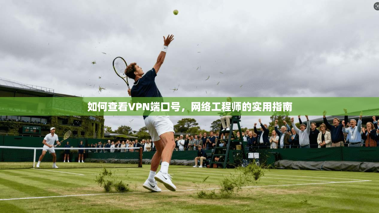 如何查看VPN端口号,网络工程师的实用指南 如何查看VPN端口号,网络工程师的实用指南