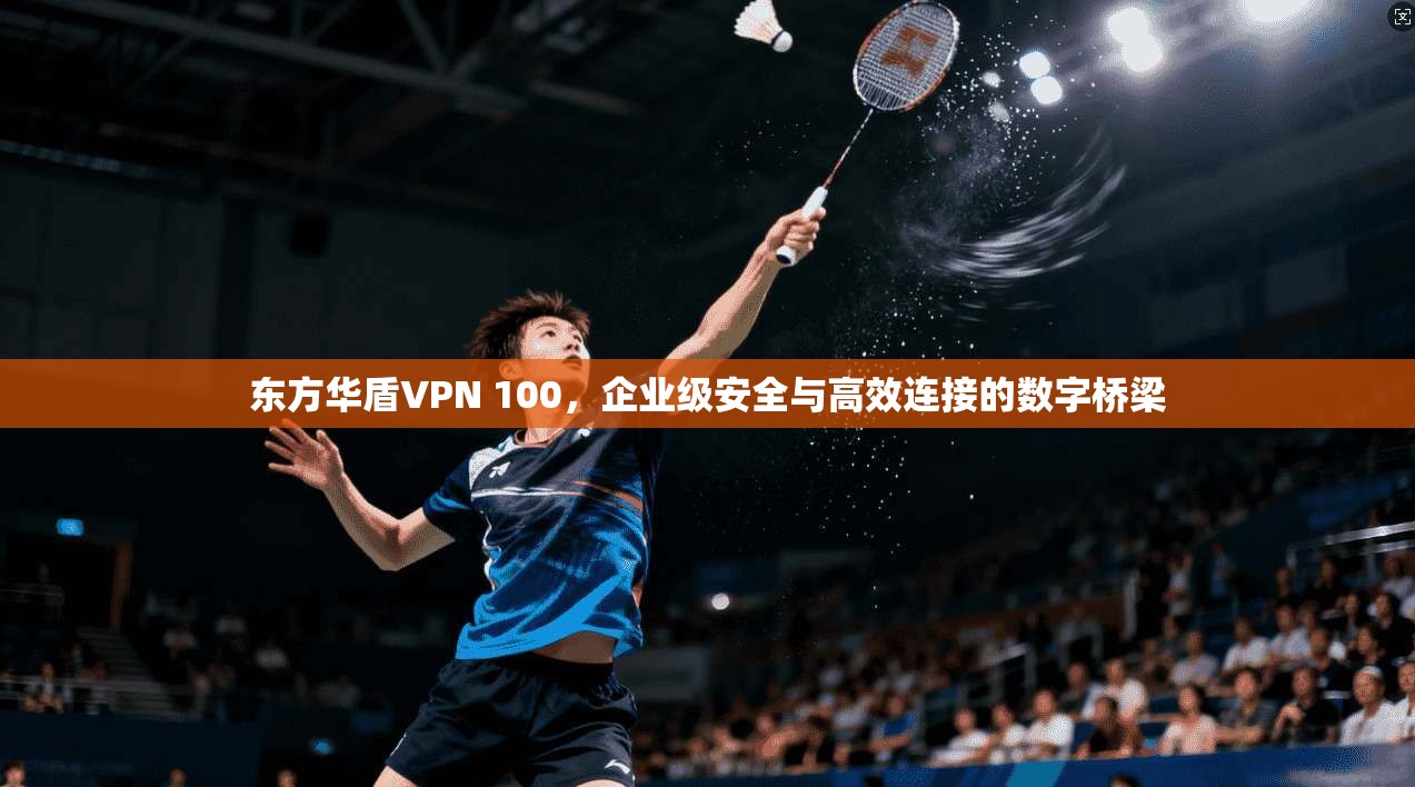 东方华盾VPN 100,企业级安全与高效连接的数字桥梁 东方华盾VPN 100,企业级安全与高效连接的数字桥梁