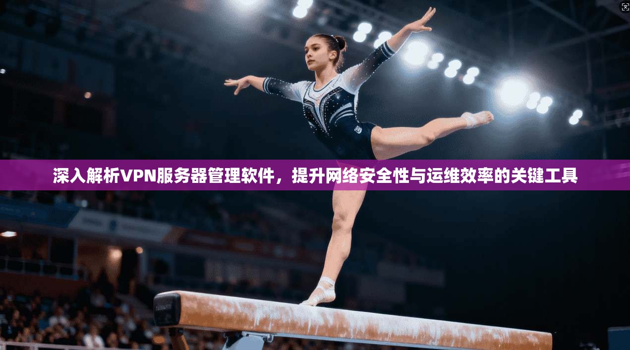 深入解析VPN服务器管理软件,提升网络安全性与运维效率的关键工具 深入解析VPN服务器管理软件,提升网络安全性与运维效率的关键工具