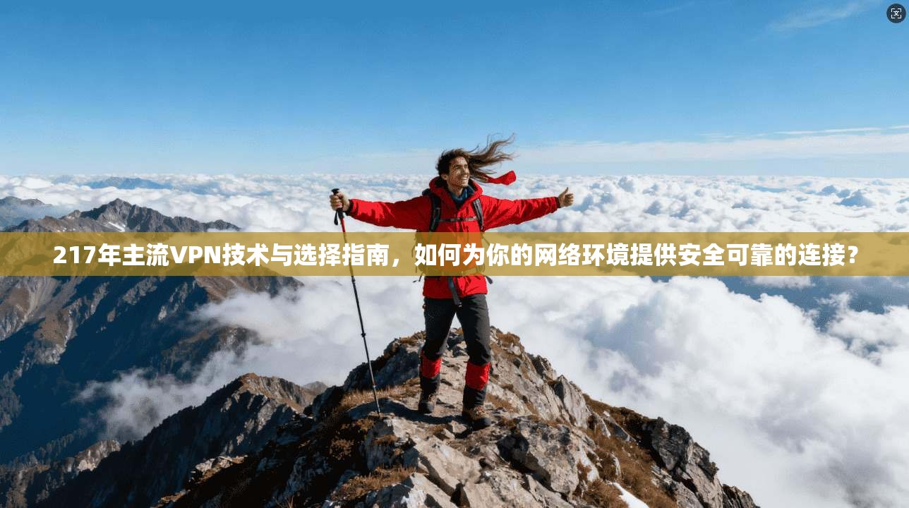 217年主流VPN技术与选择指南，如何为你的网络环境提供安全可靠的连接？