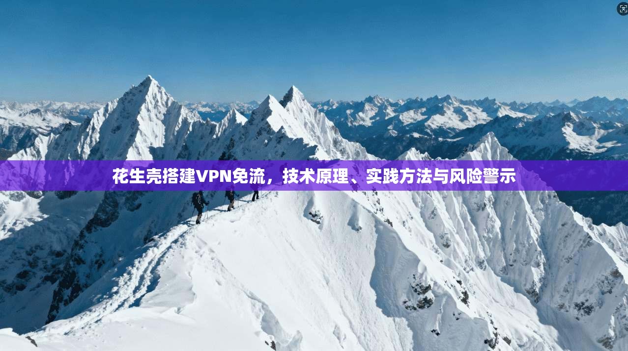 花生壳搭建VPN免流,技术原理、实践方法与风险警示 花生壳搭建VPN免流,技术原理、实践方法与风险警示
