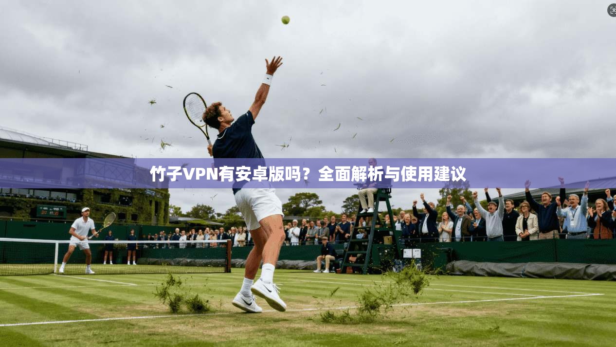 竹子VPN有安卓版吗?全面解析与使用建议 竹子VPN有安卓版吗?全面解析与使用建议