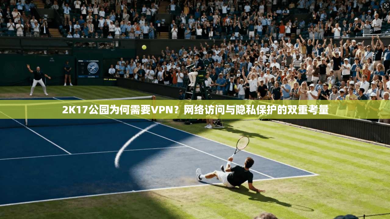 2K17公园为何需要VPN?网络访问与隐私保护的双重考量 2K17公园为何需要VPN?网络访问与隐私保护的双重考量