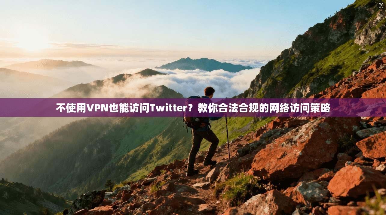 不使用VPN也能访问Twitter?教你合法合规的网络访问策略 不使用VPN也能访问Twitter?教你合法合规的网络访问策略