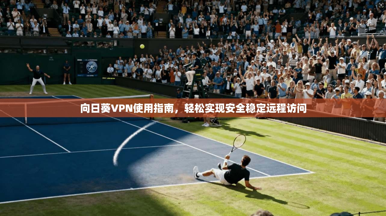 向日葵VPN使用指南,轻松实现安全稳定远程访问 向日葵VPN使用指南,轻松实现安全稳定远程访问