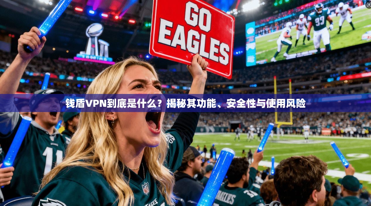 钱盾VPN到底是什么?揭秘其功能、安全性与使用风险 钱盾VPN到底是什么?揭秘其功能、安全性与使用风险