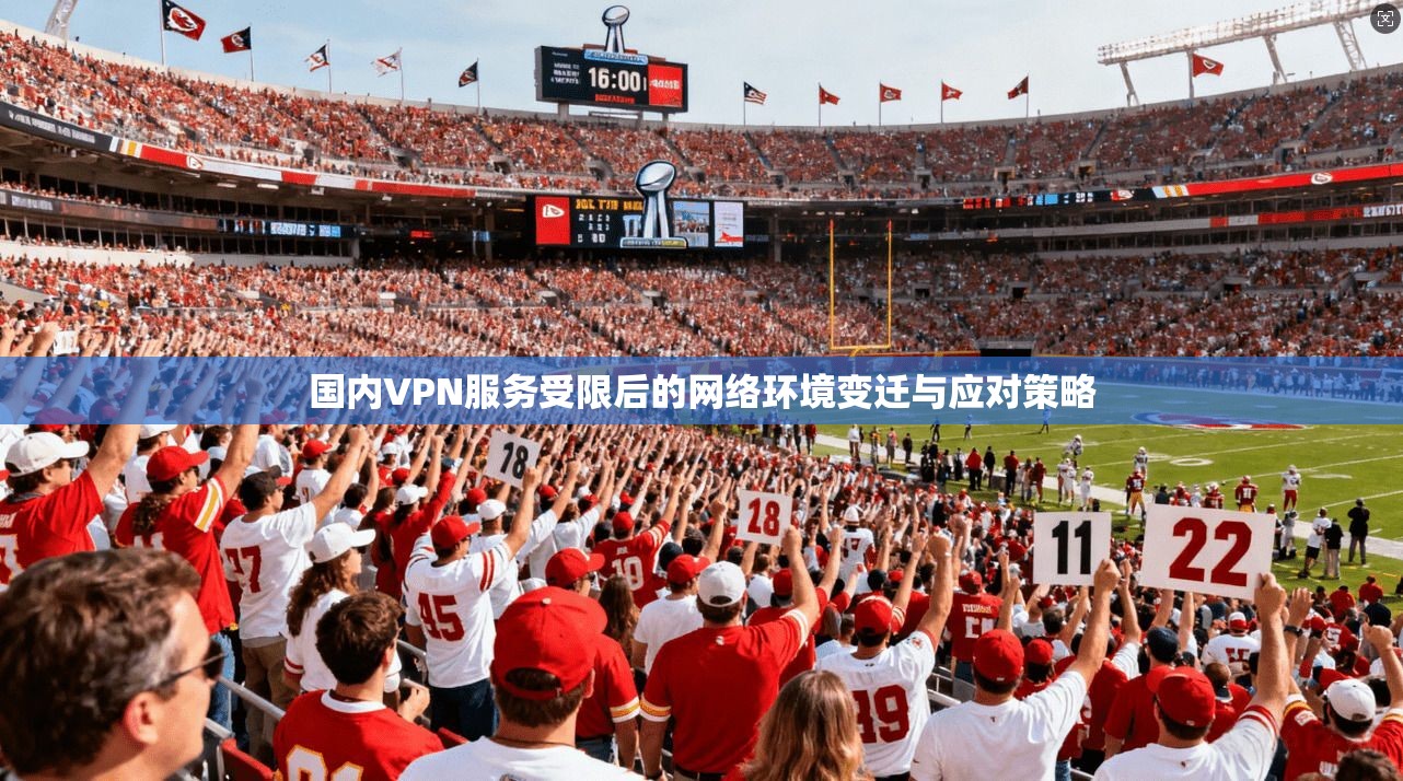国内VPN服务受限后的网络环境变迁与应对策略 国内VPN服务受限后的网络环境变迁与应对策略