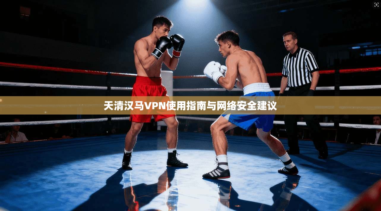 天清汉马VPN使用指南与网络安全建议 天清汉马VPN使用指南与网络安全建议