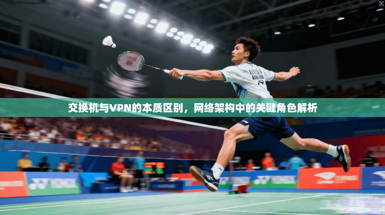 交换机与VPN的本质区别,网络架构中的关键角色解析 交换机与VPN的本质区别,网络架构中的关键角色解析