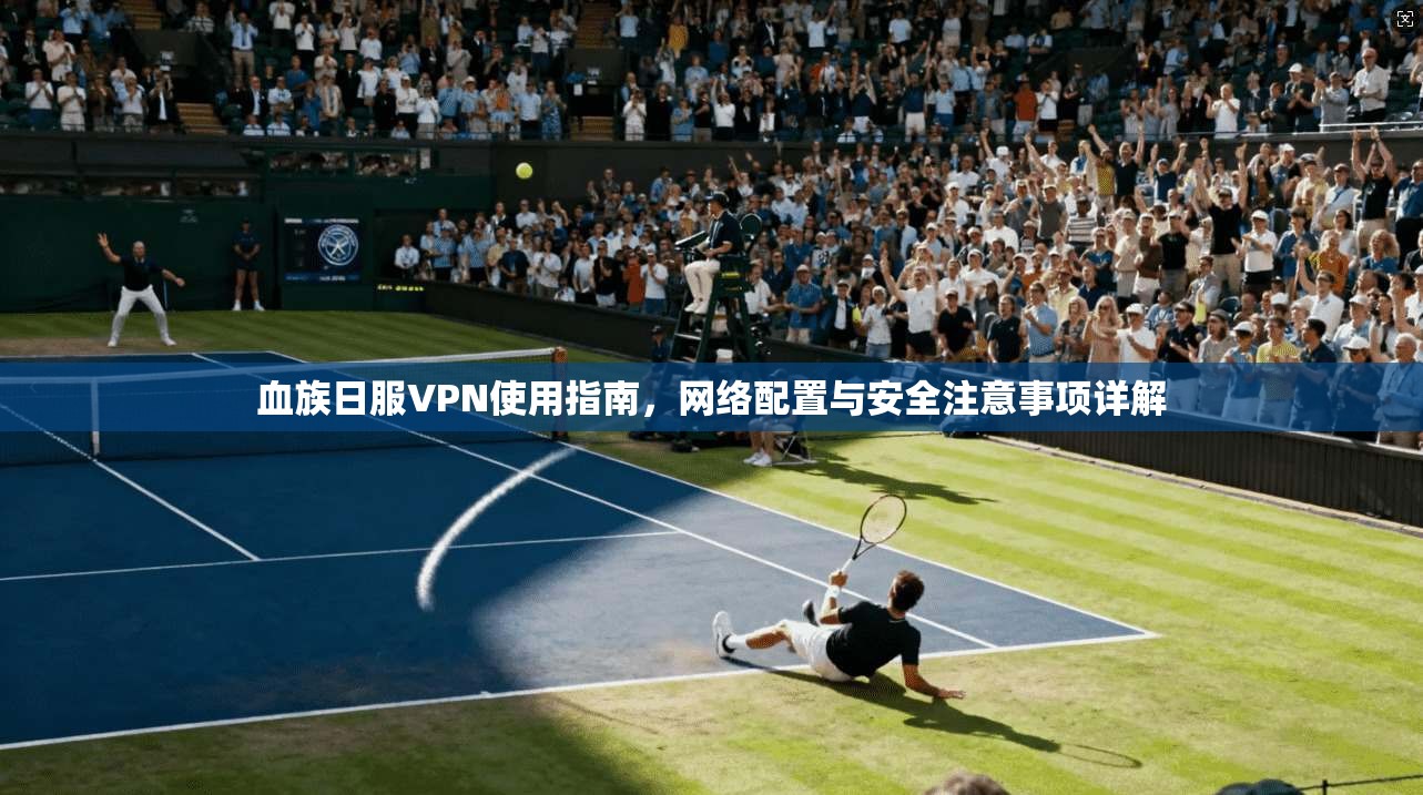 血族日服VPN使用指南,网络配置与安全注意事项详解 血族日服VPN使用指南,网络配置与安全注意事项详解