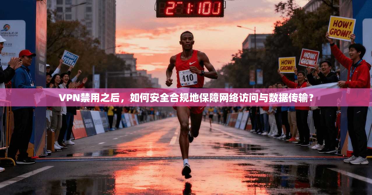 VPN禁用之后，如何安全合规地保障网络访问与数据传输？