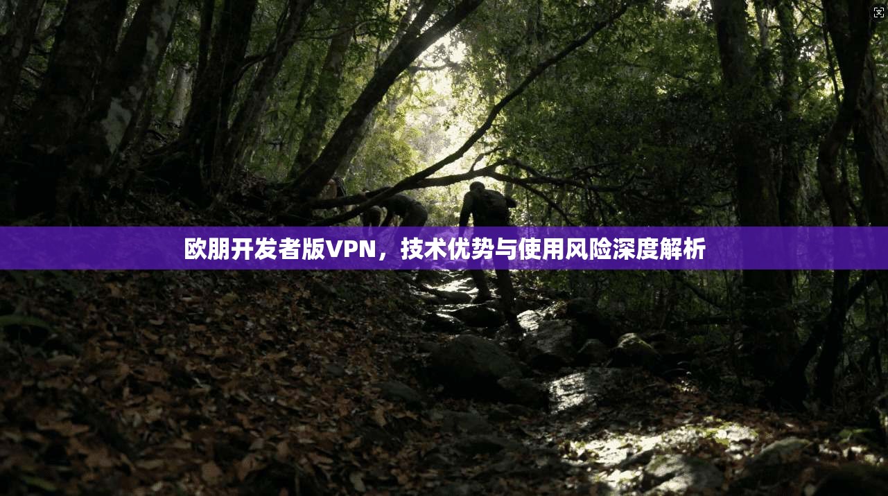 欧朋开发者版VPN,技术优势与使用风险深度解析 欧朋开发者版VPN,技术优势与使用风险深度解析